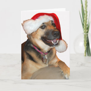 Kerst Duitse Herdershond Feestdagen Kaart