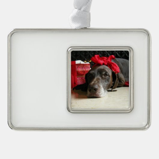 Kerst Duitse staande hond Verzilverd Kader Ornament (Voorkant)