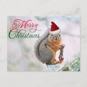 Kerst Eekhoorn Dragen Sinterklaas Pet Feestdagenkaart