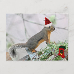 Kerst Eekhoorn met Kerstmis Stocking Feestdagenkaart