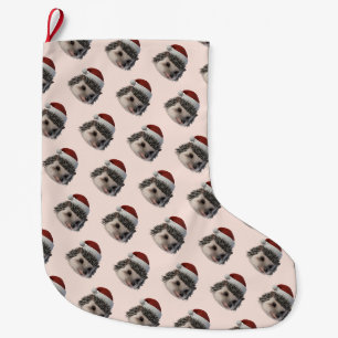 Kerst Egel Of Opossum Met Kerstman Kostuum Grote Kerstsok