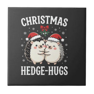 Kerst Egels Knuffels Schattige Egels Vakantie Tegeltje