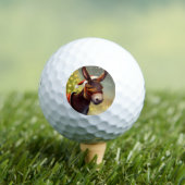 Kerst Ezel (4) Golfballen (Insitu Shirt)