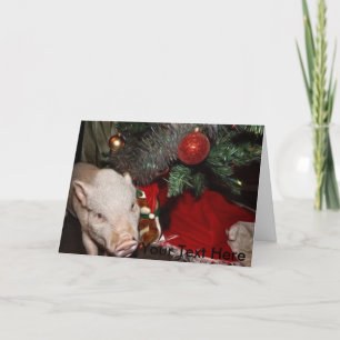 Kerst Gepersonaliseerde Painted Mini Pig Kaart