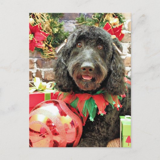 Kerst - GoldenDoodle - Pearl Jam Feestdagenkaart (Voorkant)