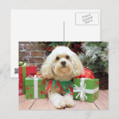 Kerst - Havanees - Mason Feestdagenkaart (Voorkant / Achterkant)