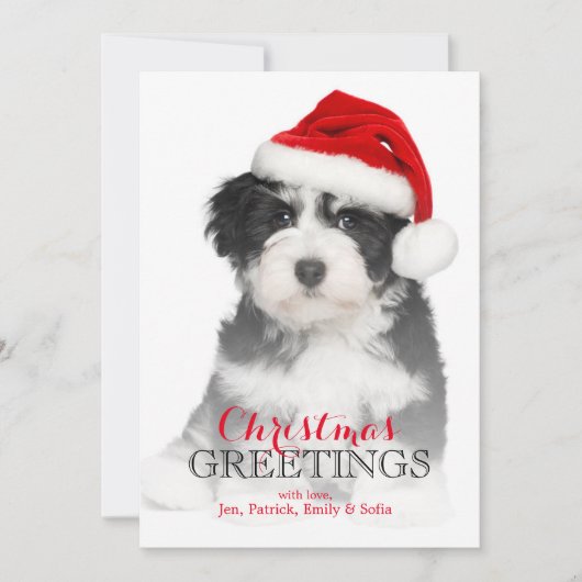 Kerst Havanese Puppy Hond Feestdagenkaart (Voorkant)