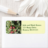 Kerst Holly retour adreslabel Etiket (Insitu)