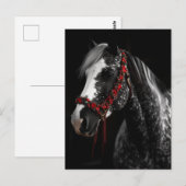 kerst hoofdstel paard briefkaart (Voorkant / Achterkant)