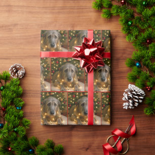 Kerst Ierse Wolfshond in lichten verstrikt Cadeaupapier