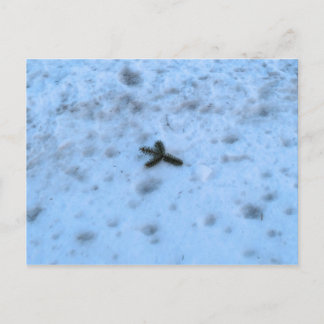 Kerst in New England Feestdagenkaart