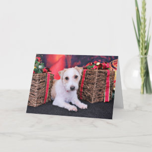 Kerst - Jack Russell - Wiley Feestdagen Kaart