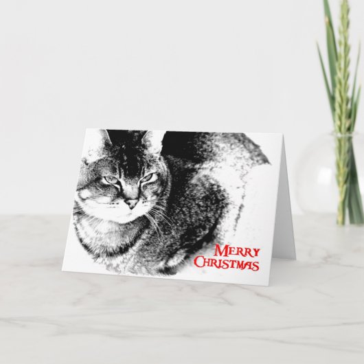 Kerst Kaart - Half-Birmese kat (Voorkant)