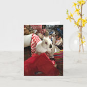 Kerst Kaart, Kerst Bunny Joy Hot Mess Kaart (Gele Bloem)