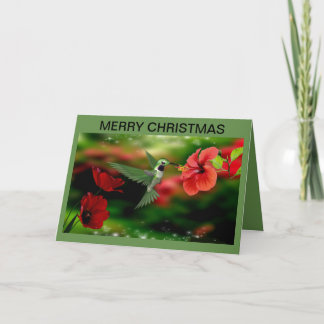 Kerst Kaart met een kolibrie