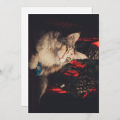 Kerst Kaart Titiyo V3 (Voorkant / Achterkant)