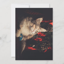 Kerst Kaart Titiyo V3