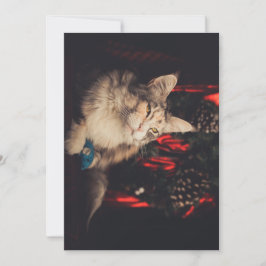 Kerst Kaart Titiyo V3