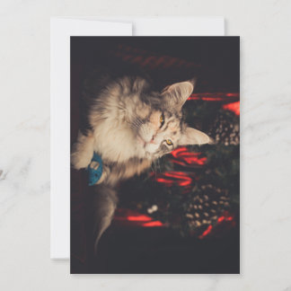 Kerst Kaart Titiyo V3