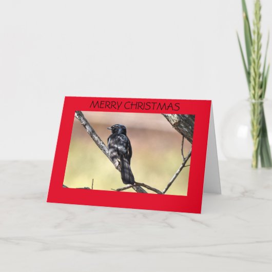 KERST KAART WILLIE WAGTAIL AUSTRALIË (Voorkant)