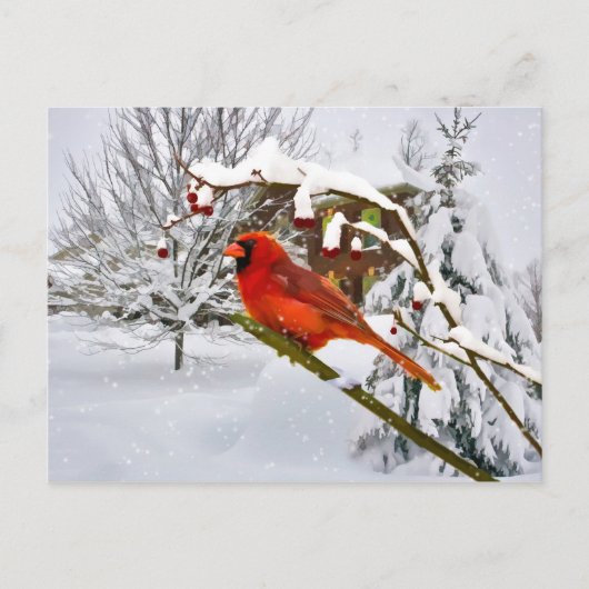 Kerst, Kardinaal Vogel, Sneeuw, Briefkaart (Voorkant)