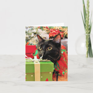 Kerst - Kat - Bentley Feestdagen Kaart
