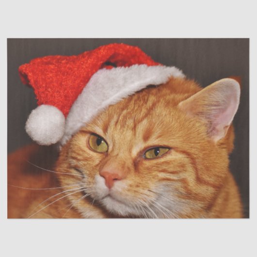 Kerst kat tissuepapier (Voorkant)