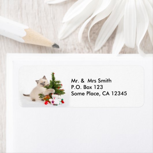 Kerst Kitten Adresetiketten Etiket (Insitu)