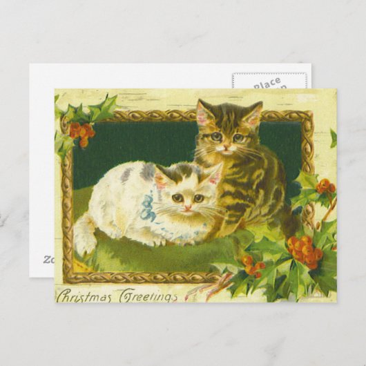 Kerst Kittens  Briefkaart (Voorkant / Achterkant)