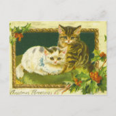 Kerst Kittens Briefkaart (Voorkant)