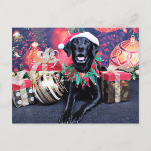 Kerst - Labrador - Cooper Feestdagenkaart