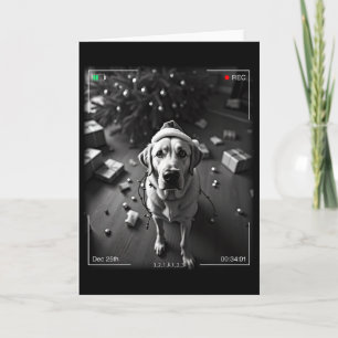 Kerst Labrador Retriever Vangen Op Camera Kaart