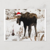 Kerst Moose en Duck Feestdagenkaart (Voorkant)
