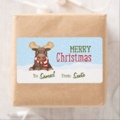 Kerst Moose gepersonaliseerde cadeau Labels / labe (Insitu)