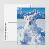 Kerst Pitbull Dog Snowman Briefkaart (Voorkant / Achterkant)