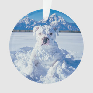 Kerst Pitbull Dog Snowman Ornament