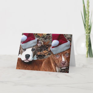 Kerst Pitbull Puppies Wenskaarten Feestdagen Kaart
