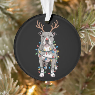 Kerst Pitbull Rendierhoorns Kerstlichten Ornament