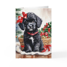 Kerst Poedel Puppy