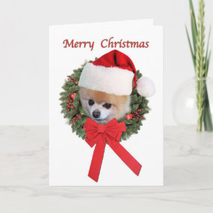 Kerst, Pommerse Hond, Kerstman Hoed Feestdagen Kaart
