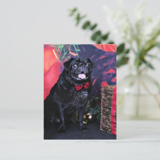 Kerst - Pug - Little Moe Feestdagenkaart (Staand voorkant)
