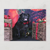 Kerst - Pug - Little Moe Feestdagenkaart (Voorkant)