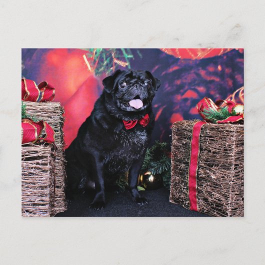 Kerst - Pug - Little Moe Feestdagenkaart (Voorkant)