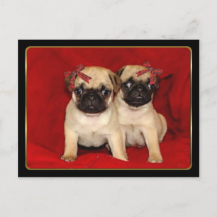 Kerst pug puppies feestdagenkaart