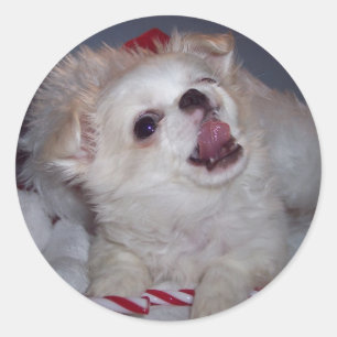 Kerst Puppy Stickers