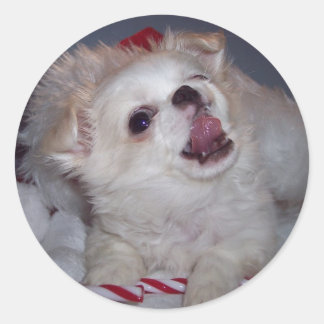 Kerst Puppy Stickers