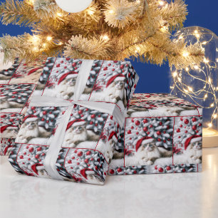 Kerst Ragdoll Kat In Een Kerstman Hoed Cadeaupapier