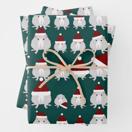 Kerst Ratten Verpakking Papieren Bladen Inpakpapier Vel (In situ)