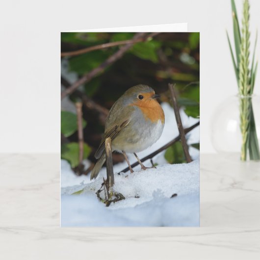 Kerst Robin in de sneeuw Kaart (Voorkant)
