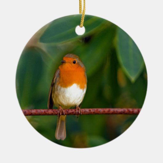 Kerst Robin Keramisch Ornament (Voorkant)